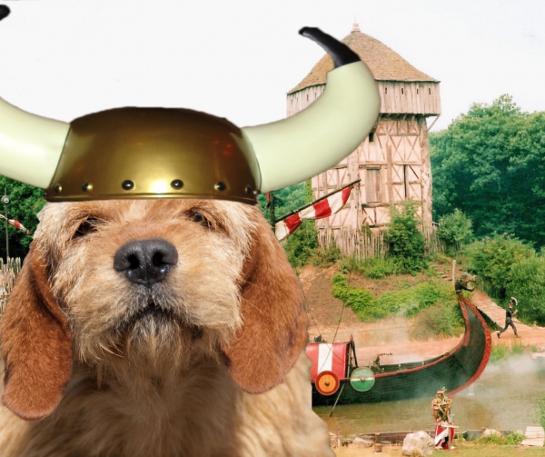 Creation of Pillaging Viking Canine : Step 1